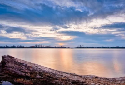 ​旅夜书怀杜甫翻译（旅夜书怀古诗赏析）