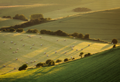 ​送友人入蜀赏析（送友人李白原文及翻译）