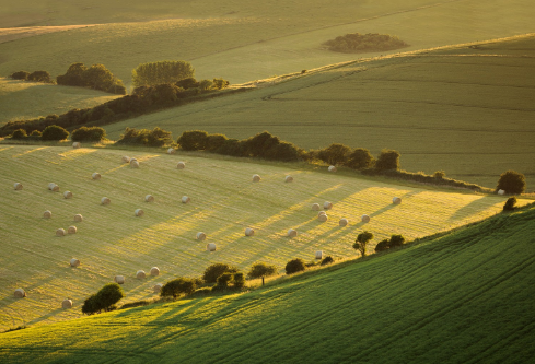 1688183685646412.png image.png