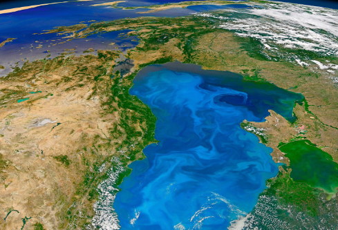 1688185352677913.png image.png