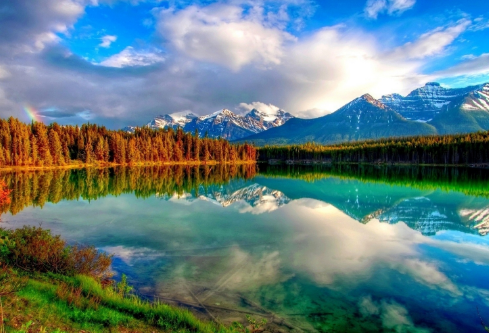 1688185686558752.png image.png