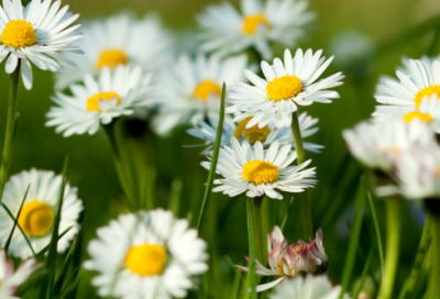 ​滕王阁诗王勃赏析（滕王阁诗翻译及赏析）