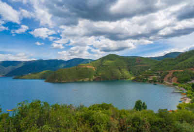 ​卞庄子刺虎文言文翻译（卞庄子刺虎文言文翻译字词解释）