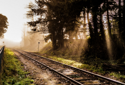 ​诗经关雎拼音版（关雎原文翻译及赏析）