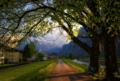 ​谢弘微传翻译及注释（谢弘微传翻译及注释及知识点）