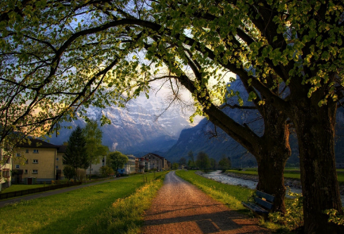 1688189352518628.png image.png