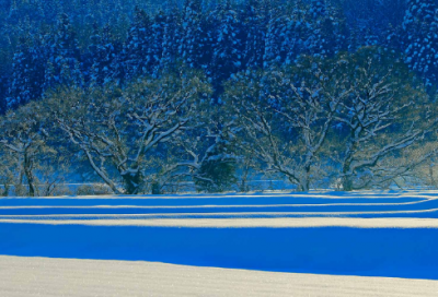 ​竹枝词刘禹锡（竹枝词翻译及赏析）