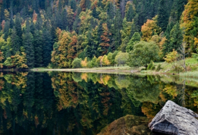 ​卜算子黄州定慧院寓居作（卜算子翻译及赏析）