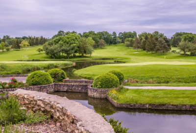 ​折桂令春情赏析（折桂令春情原文翻译）