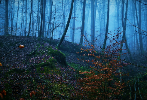 1688192185196088.png image.png