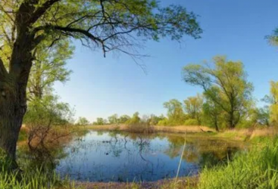 ​九霄云外造句,用九霄云外怎么造句