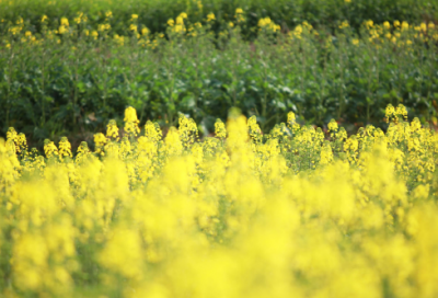 ​千造句,用千怎么造句