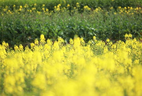 1688205861648940.png image.png