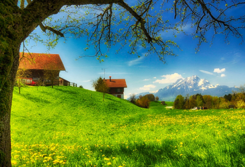 1688206027453529.png image.png