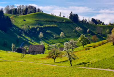 ​旭日东升造句,用旭日东升怎么造句