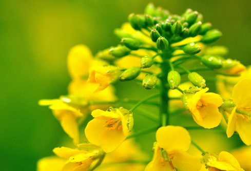 1688206693187585.png image.png