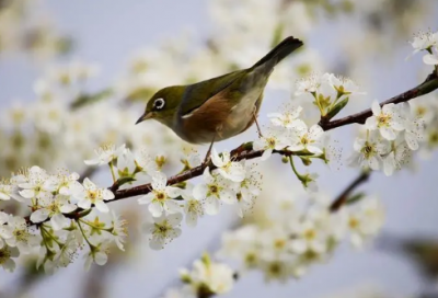 ​擦屁股造句,用擦屁股怎么造句