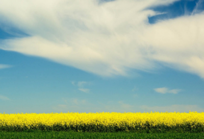 ​千里始足下造句,用千里始足下怎么造句