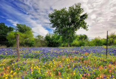 ​不要造句,用不要怎么造句