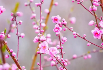 ​次造句,用次怎么造句