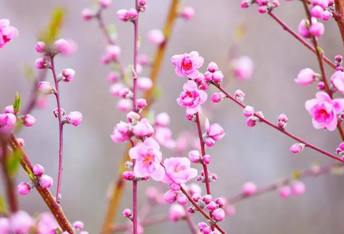 1688207527713537.png image.png