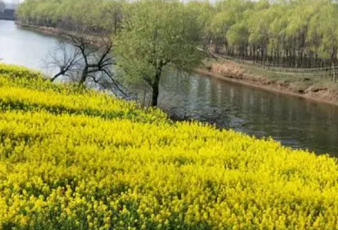 1688207868581405.png image.png