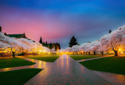 ​胃造句,用胃怎么造句