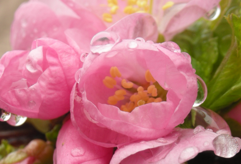 1688208701671387.png image.png