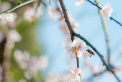 ​淋雨造句,用淋雨怎么造句