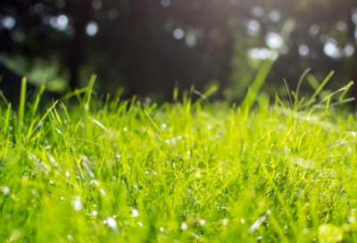 ​活造句,用活怎么造句