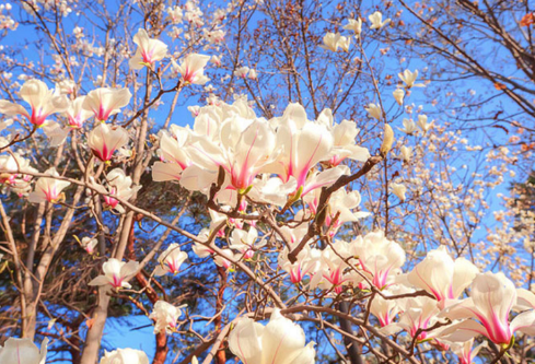 1688209201623055.png image.png