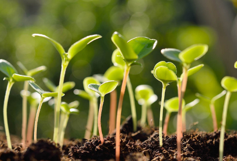 1688209367873866.png image.png