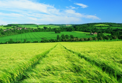 ​亦造句,用亦怎么造句