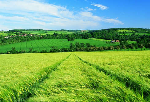 1688210033967803.png image.png