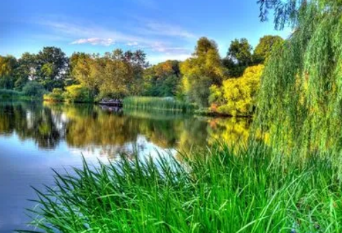 1688210366686548.png image.png