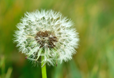 ​开开心心造句,用开开心心怎么造句
