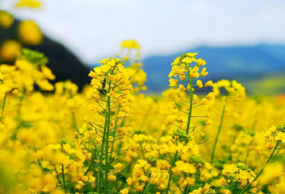 ​活到老，学到老造句,用活到老，学到老怎么造句