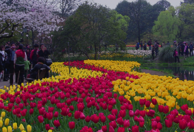 ​思造句,用思怎么造句