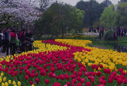 1688210865880258.png image.png