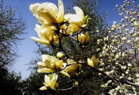 1688211709509174.png image.png