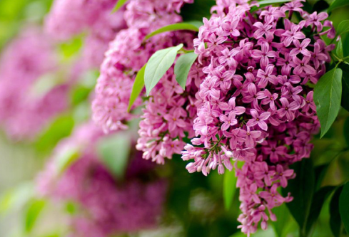 1688211877338445.png image.png