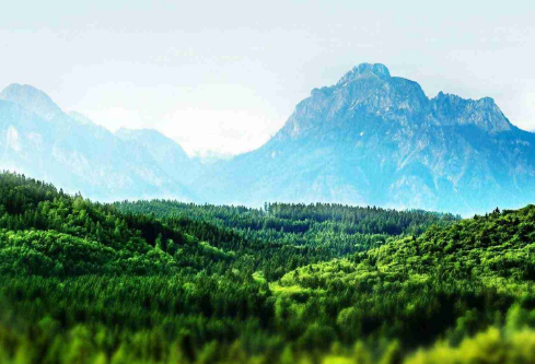 1688212043989358.png image.png