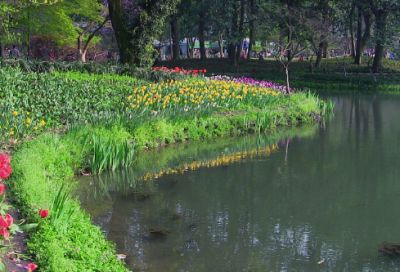 ​与造句,用与怎么造句