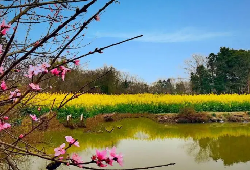 1688212376367515.png image.png