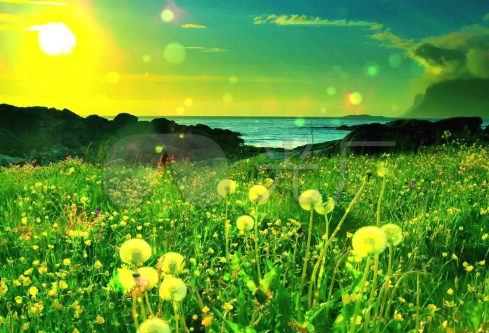 1688212543942105.png image.png