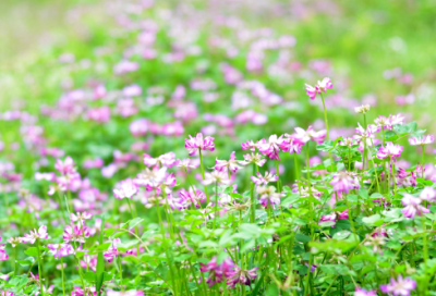 ​否造句,用否怎么造句