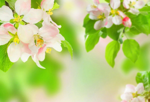 1688212876898328.png image.png