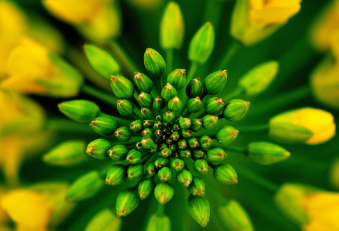 1688213042280008.png image.png