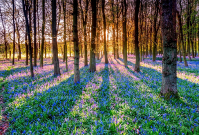 ​风牛马不相及造句,用风牛马不相及怎么造句