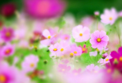 ​写日记造句,用写日记怎么造句